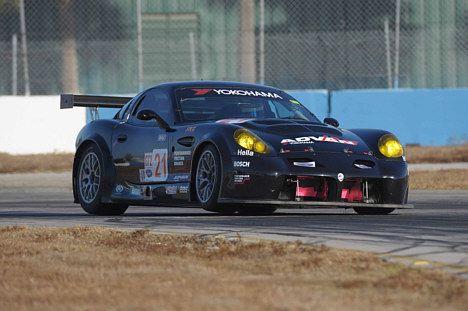 Panoz
(Foto: ALMS)
